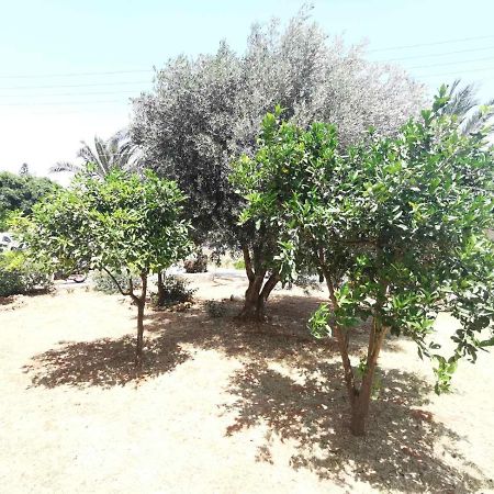 Stalis Drops住宿加早餐旅馆 外观 照片